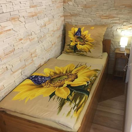 Apartmán Slunečnice s terasou Ceske Budejovice Exterior foto
