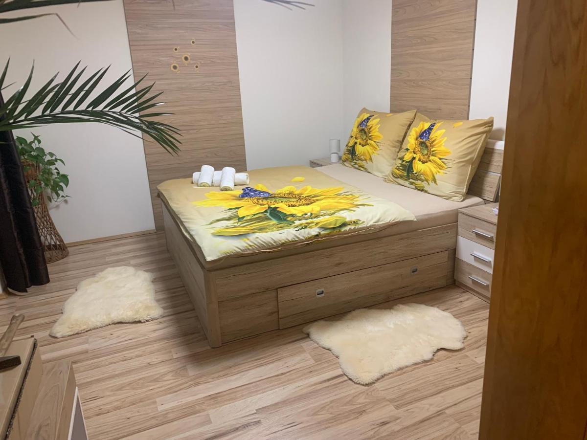 Apartmán Slunečnice s terasou Ceske Budejovice Exterior foto