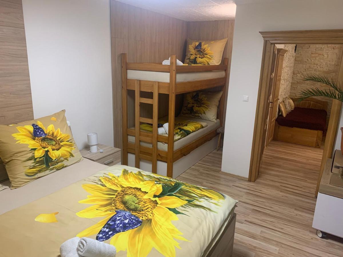 Apartmán Slunečnice s terasou Ceske Budejovice Exterior foto