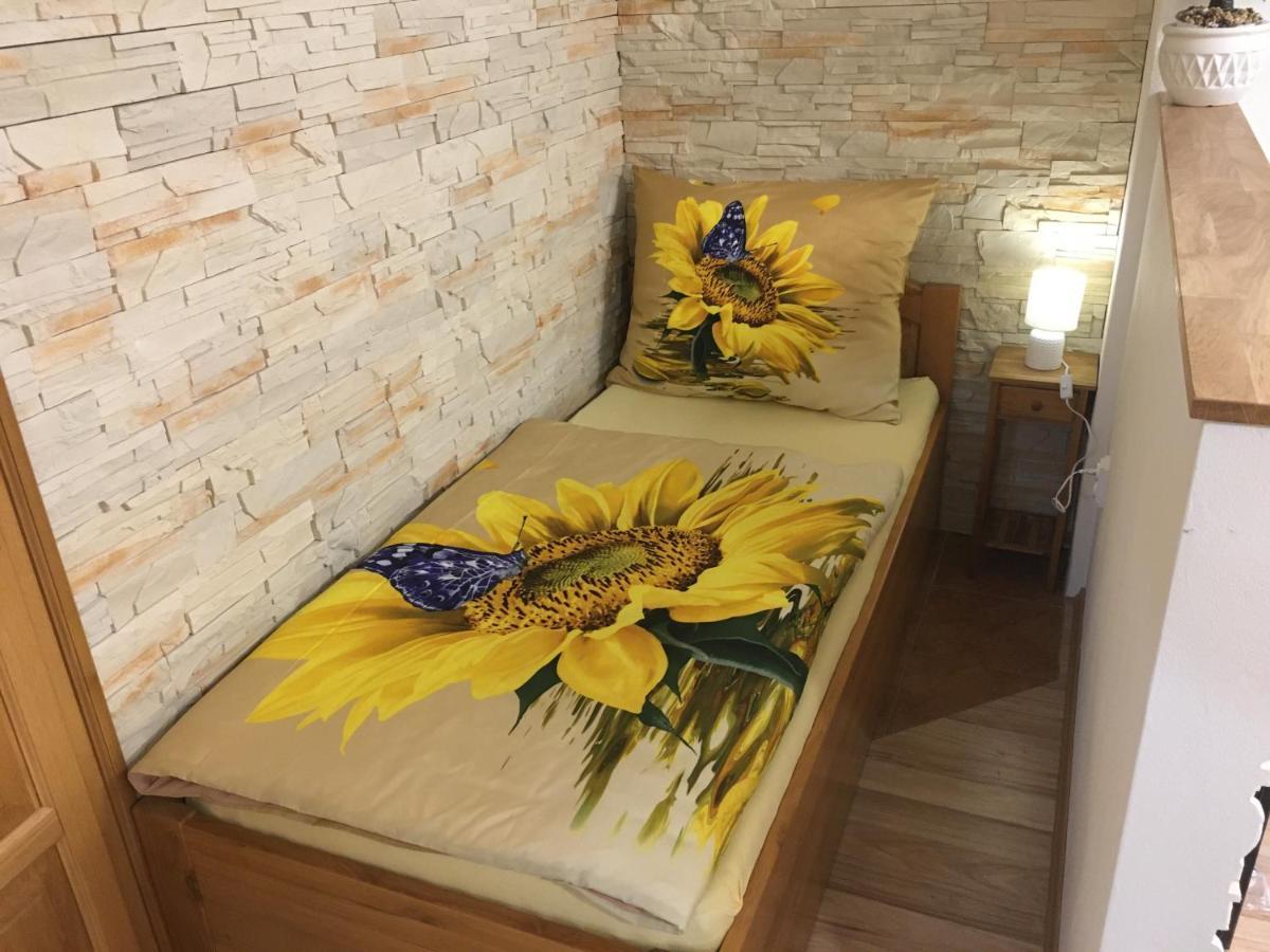 Apartmán Slunečnice s terasou Ceske Budejovice Exterior foto