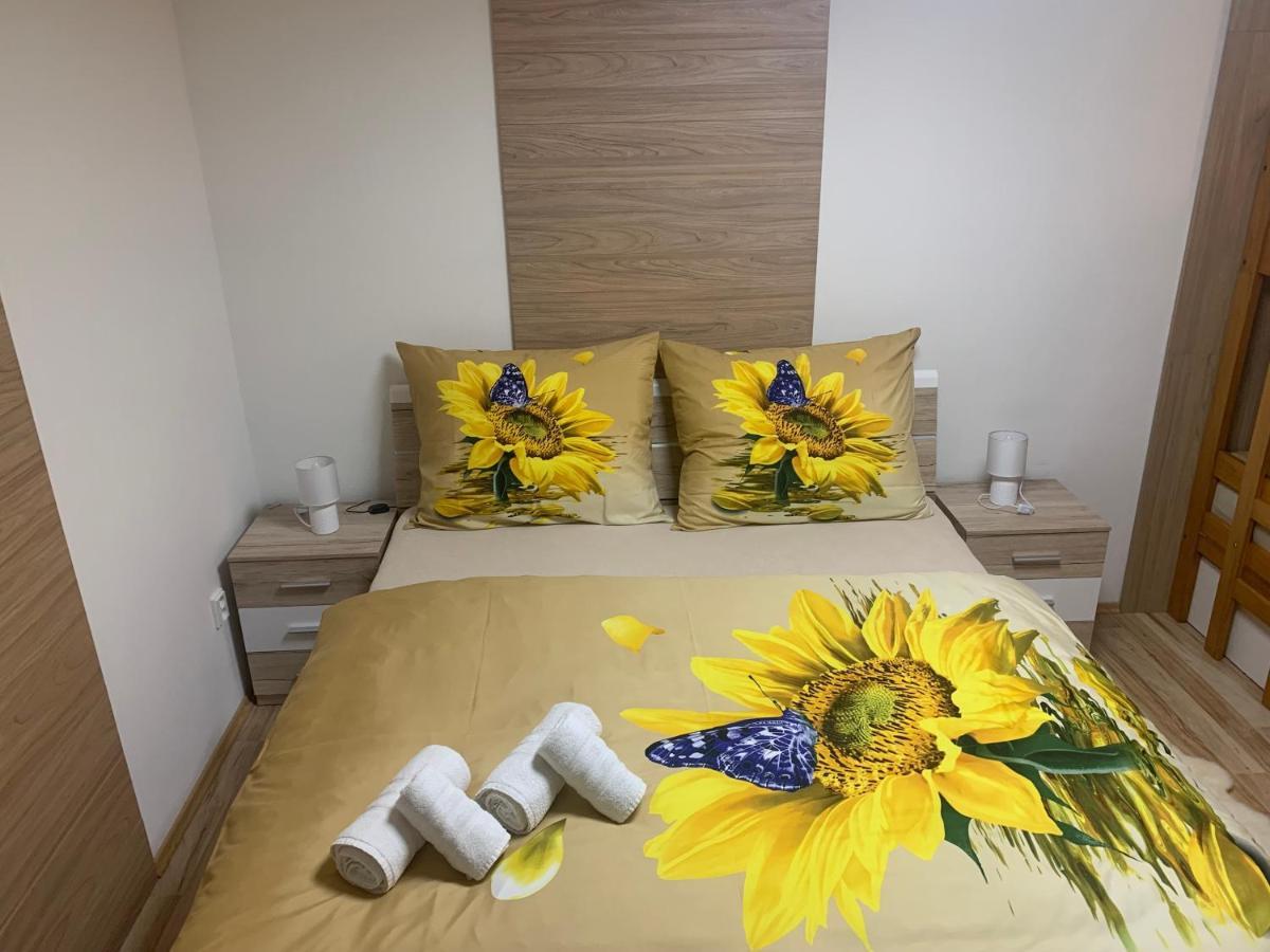 Apartmán Slunečnice s terasou Ceske Budejovice Exterior foto