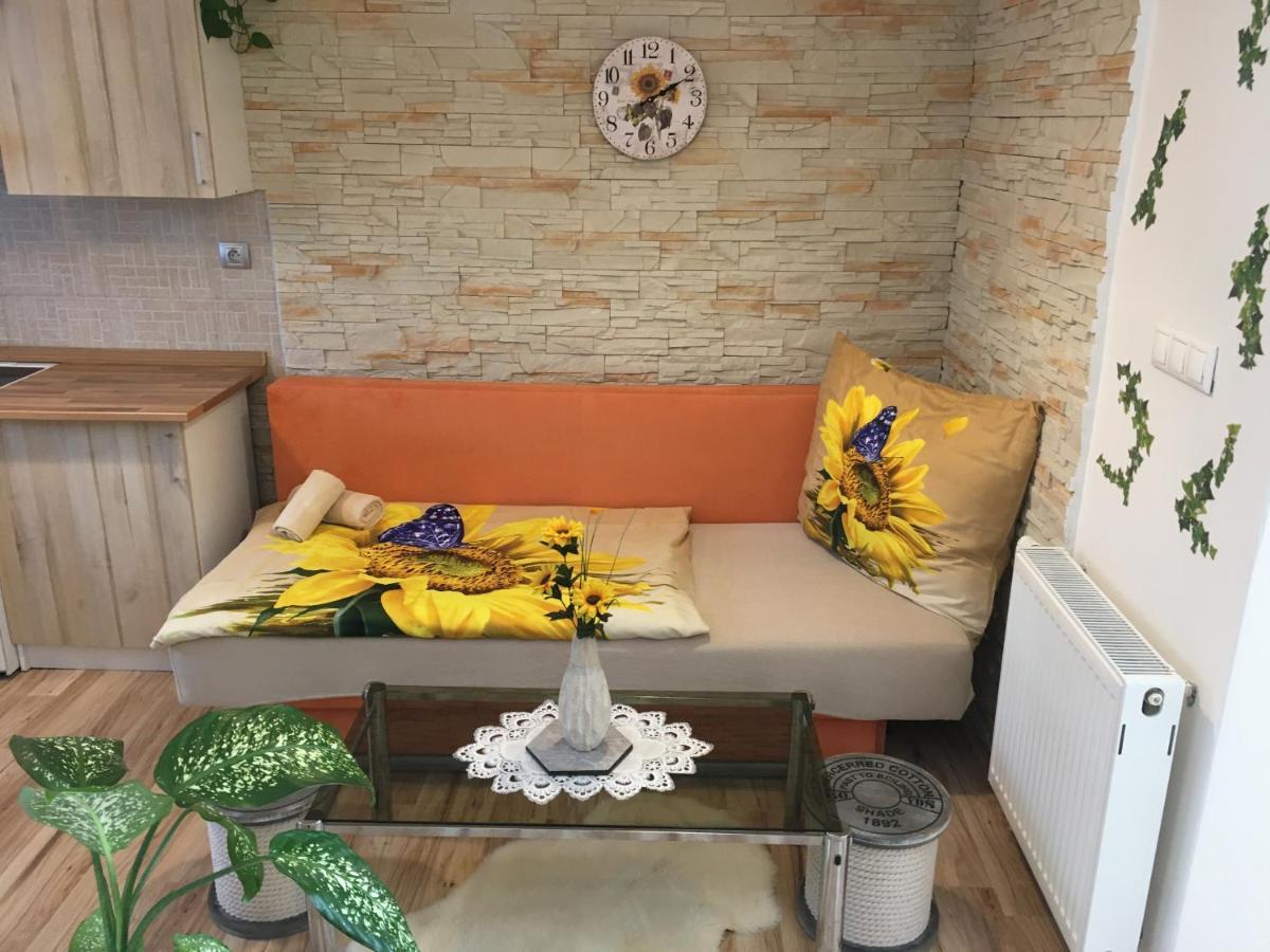 Apartmán Slunečnice s terasou Ceske Budejovice Exterior foto