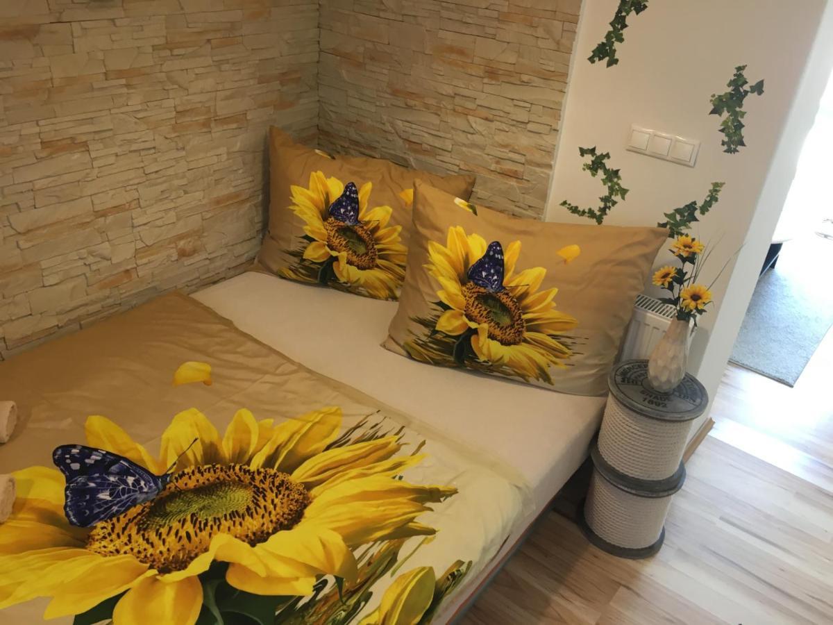 Apartmán Slunečnice s terasou Ceske Budejovice Exterior foto